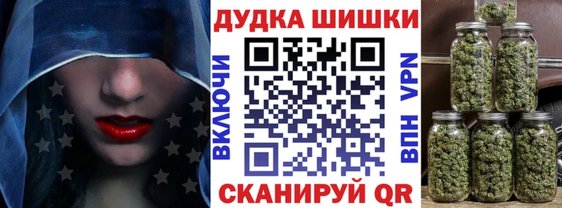 МЕФ Дмитров