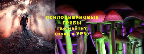 трава Абаза