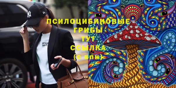 МДПВ Семёнов