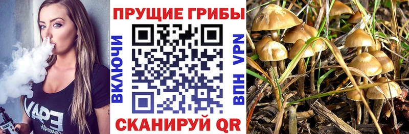 Галлюциногенные грибы мухоморы  Дмитров 