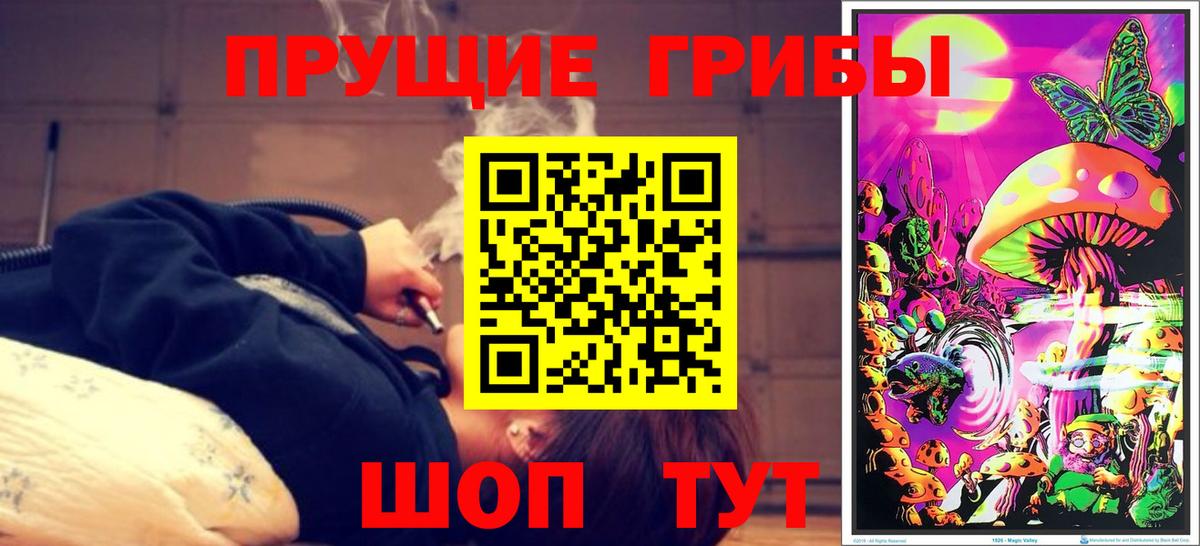 Псилоцибиновые грибы GOLDEN TEACHER Дмитров